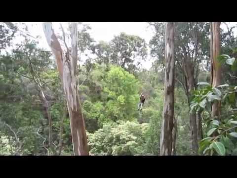 Get a Grip Year End Zip Line Video