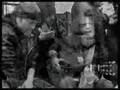 Como los trileros - Marea