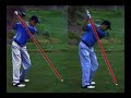 Shape of Swing Shape of Swing