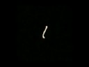 This video picks up where my last one left us. More UFOs and Orbs continue to hang around. Again this video consist of still images taken with my Sony Cybershot DSC-W30. They are presented in the order of the days they were taken. This takes us through 10-26-2008. The UFOs seem to be getting closer.