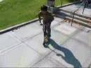 Tailwhips Galore