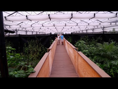 YouTube reptile video