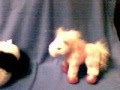 Webkinz Valentine Movie - Kiss Me