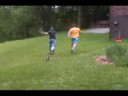 When animals attack