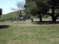 picnic 029