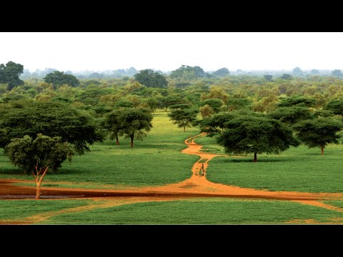 Image de prévisualisation YouTube