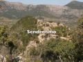 Bodegas de Mallorca y Vinos de Mallorca