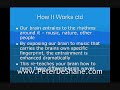 Brain Music Therapy Pt. 6 Brain Music Therapy Pt. 6