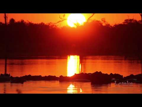 An Adventure with Letaka Safaris