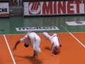 2008 Arte Marziale: Capoeira