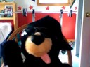 bearry\