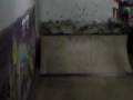 MOV00119[1]