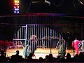 alexander lacey with his amazing performance of taming lions and tigers at the circus charles knie's show in stuttgart (cannstadter wasen) on november 4th, 2008