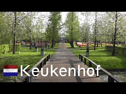 garden video - April 23, 2011 - 'Keukenhof' in the Netherlands, also known as the Garden of Europe, is the world's largest flower garden for over 50 years. It is filled wit...