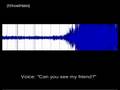 EVP - A Haunted Little Girl? (No Soundtrack)