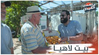 علي نسمان في بيت لاهيا ،مدينة الجمال الفواكه والفراولة