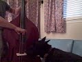 UPRIGHT BASS