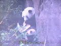 2009-12-11 Yun Zi's Classroom Time! Part 1