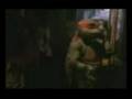 videos de Tortugas malcreadas