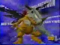 All of Agumon\