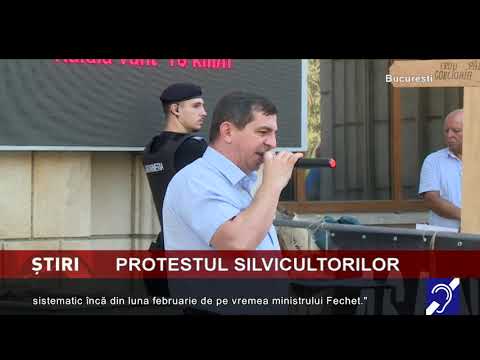 Protest al silvicultorilor, la Ministerul Mediului