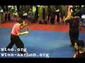 Avci Wing Tsun/Escrima demonstration '99