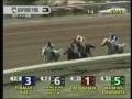 videos de WA Miss Emaranta's Race