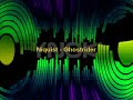 Nyquist - Ghostrider