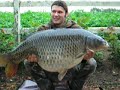 amelynck carp team 17.8 kg 07/2007