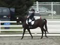 Olster Dressage At Devon 2007