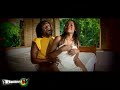 wake dem up music video by artist peter lloyd produced by diavallan 
