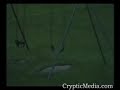 Ghost Moves A Swing