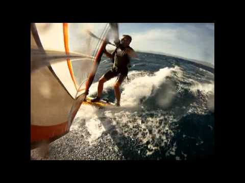 ballena