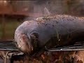 Urban chef cooking London wild fish in an outdoor barbeque - BBC