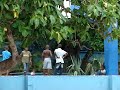 Nothing like the outdoors for a nice game of basket or praticing baseball throwing and catching a ball. Nada como el aire libre para jugar baloncesto o practicar beisbol, lanzando y aparando la bola.