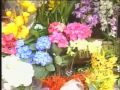 Flores pra degustar