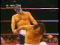 año 2000 vs perro aguayo