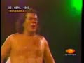 a�o 2000 vs perro aguayo