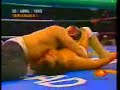 año 2000 vs perro aguayo
