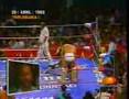 año 2000 vs perro aguayo