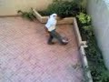ahmed kerkich ahmed kerkich