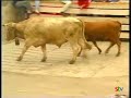 1991   vaquillas en torrecilla en cameros