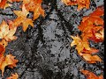 Autumn Leaves by Enigma (sung by Eva Cassidy)