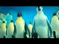 Penguinoton