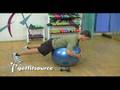 Single Arm Dumbbell Row On Stability Ball