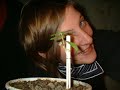 Juana Chang-crece plantita crece