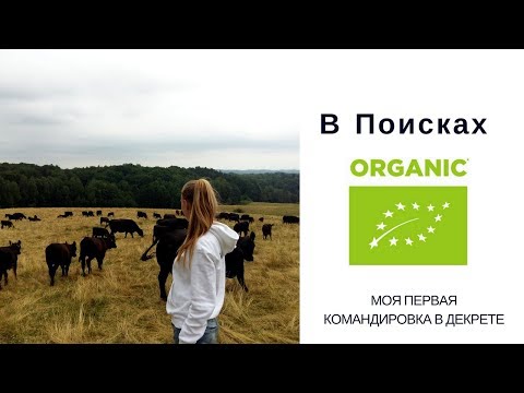 YouTube Трейлер