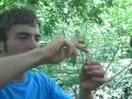 Sergei Boutenko's Wild Greens Walk part 1 with Dr. Ritamarie www.DrRitamarie.com