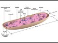 Gerton Lab - Atomic force microscopy