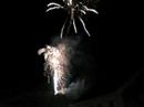 Shamokin Fireworks